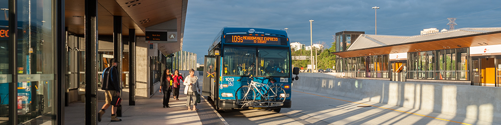 bus bus