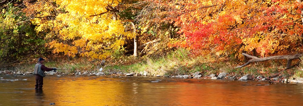 mississauga-fall-final
